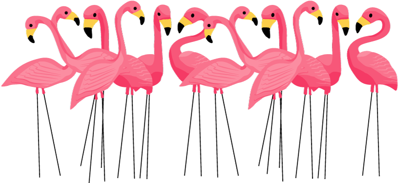 The Color Flamingo Pink Â€“ Marylouwade - Flamingo Clipart (1200x413)