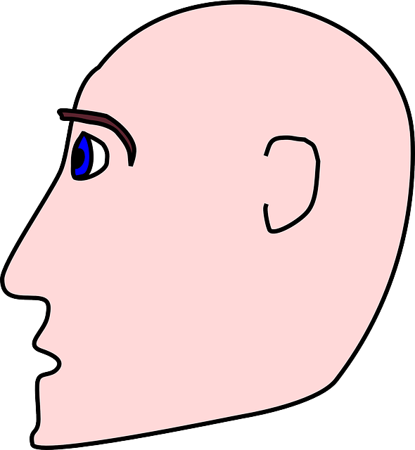 Bald Head, People, Man, Profile, Person, Cartoon, Side, - Cartoon Side Profile (590x640)