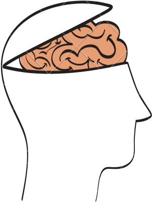 Human Head And Brain Outline - Human Head (550x550)