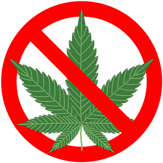 Written By David Castellon - Reasons Not To Smoke Marijuana: The Complete ] (602x602)