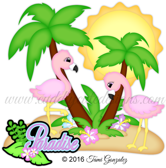 Paradise Flamingos - Flamingo (600x600)