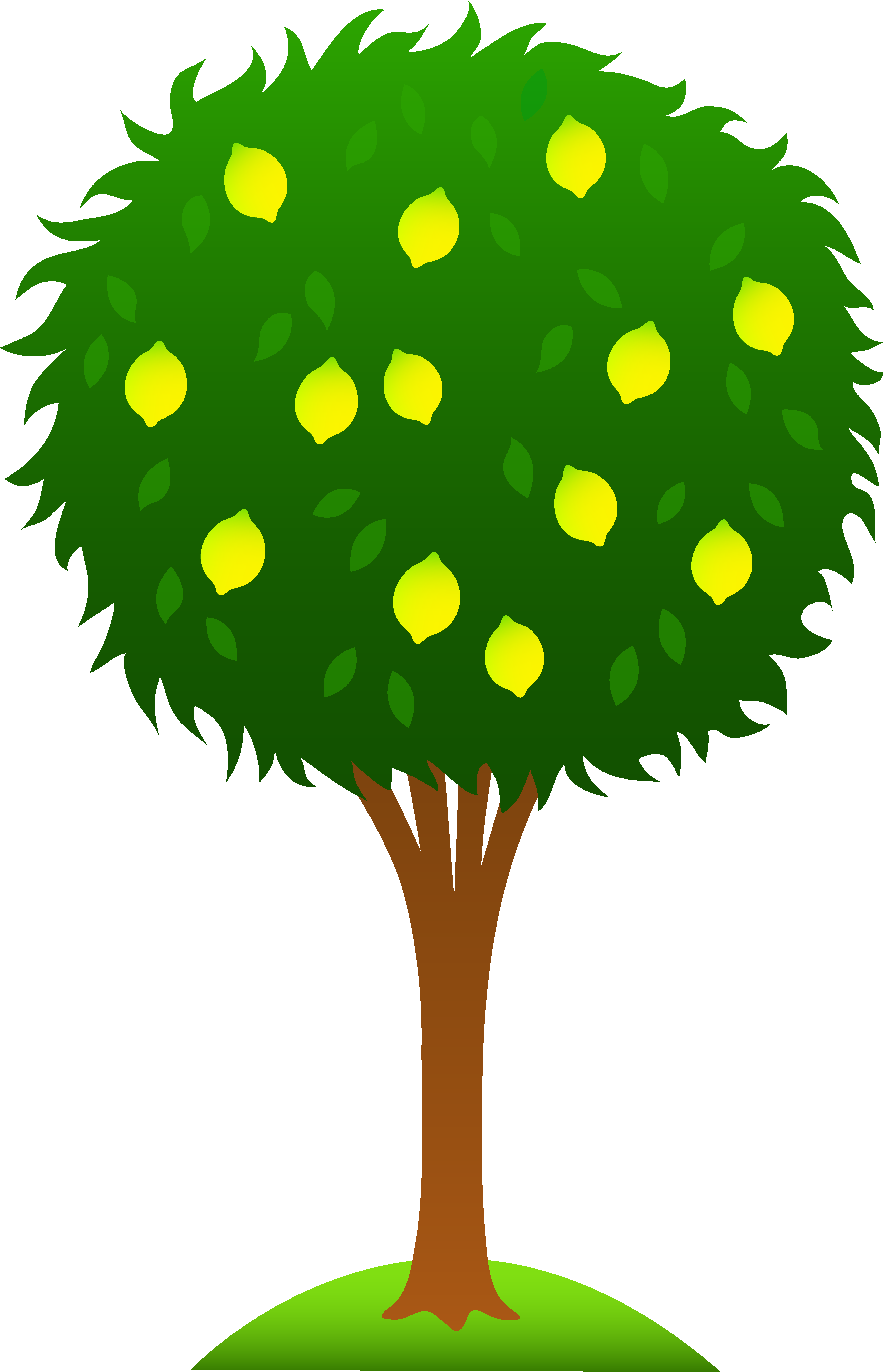 Cute Lemon Tree - Lemon Tree Clip Art (4325x6720)