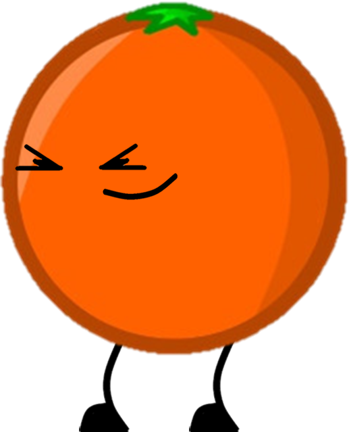Object Shows Orange (351x432)