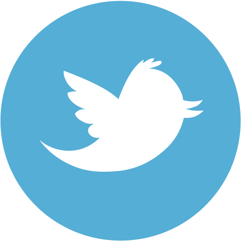 Follow Us - Telegram Logo Png (501x500)