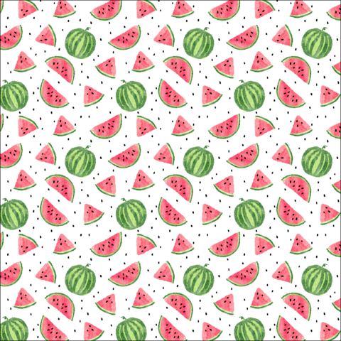 Watermelon Patterned Vinyl - Watermelon (480x480)