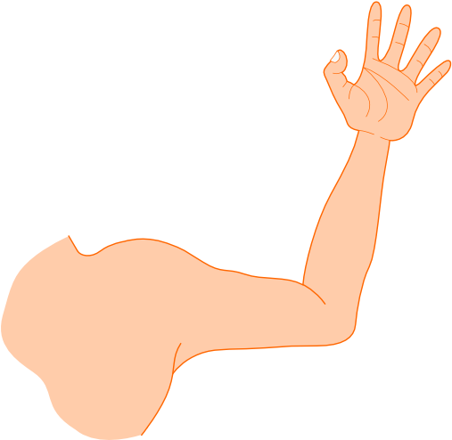 Right Arm Clip Art - Left Arm Clip Art (600x512)