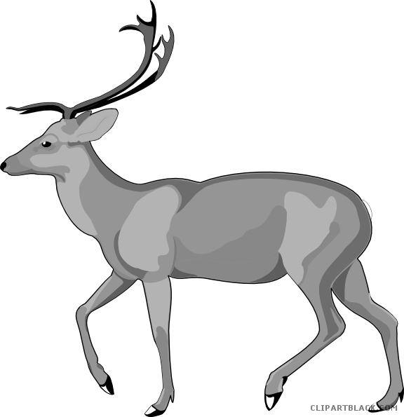 Deer Animal Free Black White Clipart Images Clipartblack - Debden Park High School (576x595)