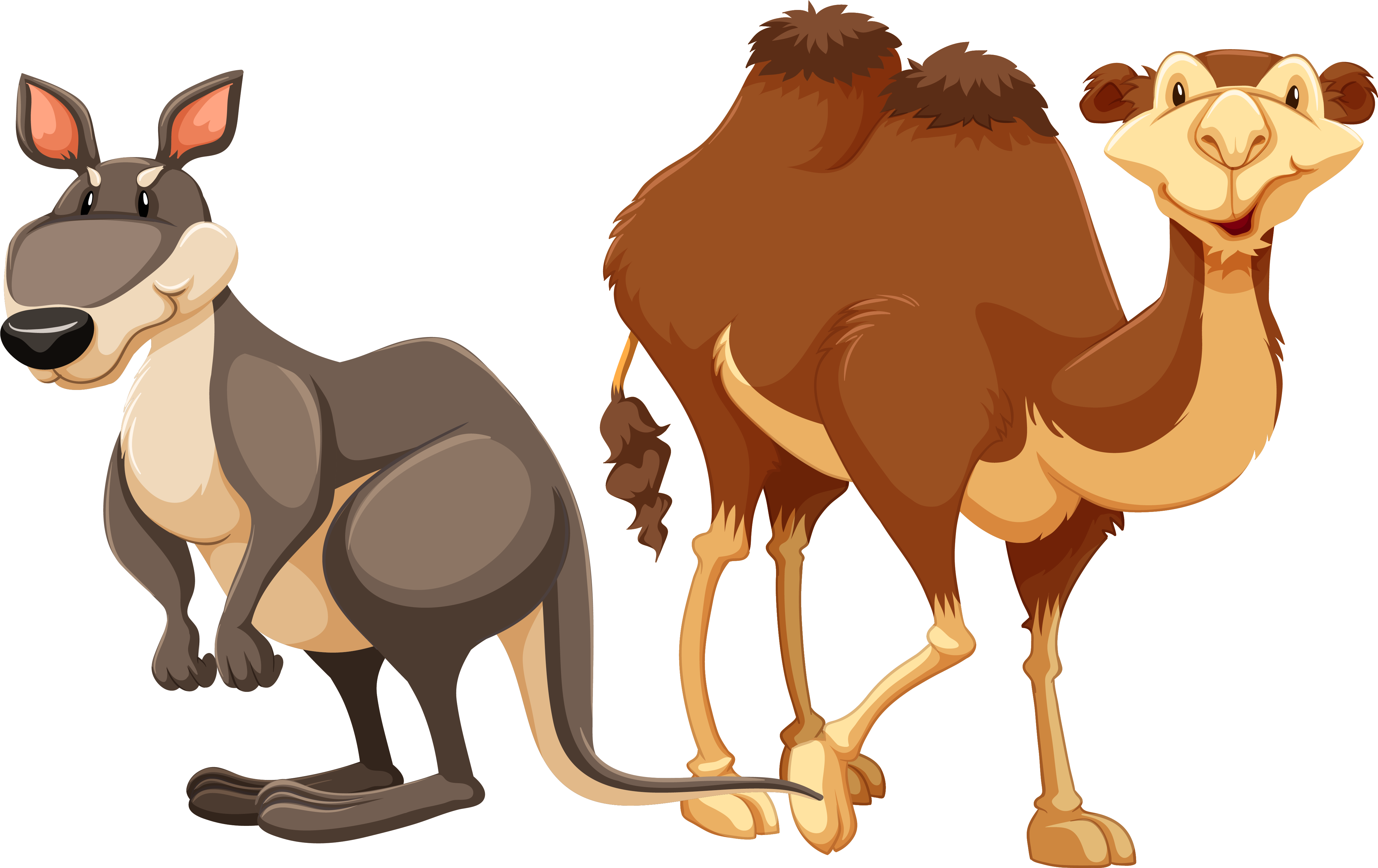 Camel Stock Photography Illustration - Camel Stock Photography Illustration (4988x3075)