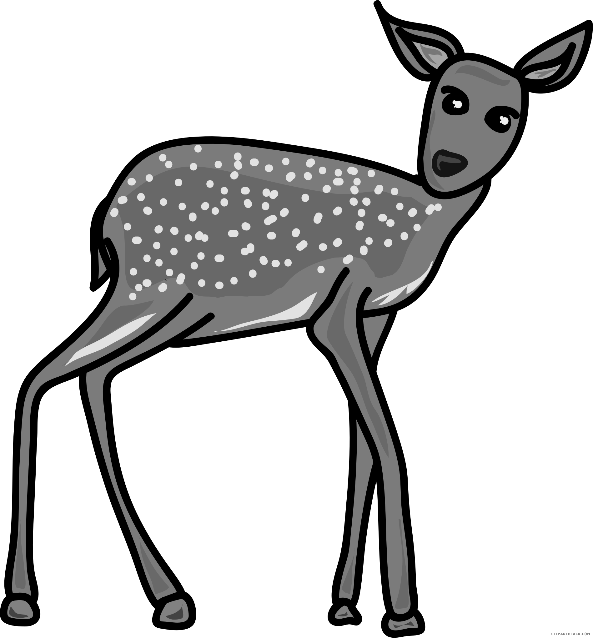 Deer Animal Free Black White Clipart Images Clipartblack - Scalable Vector Graphics (1897x2041)