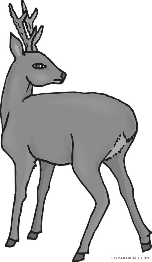 Deer Animal Free Black White Clipart Images Clipartblack - Daini Png Trasparente (500x863)
