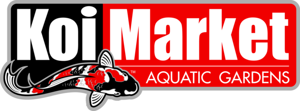 Gary Moore The Essential (590x219)