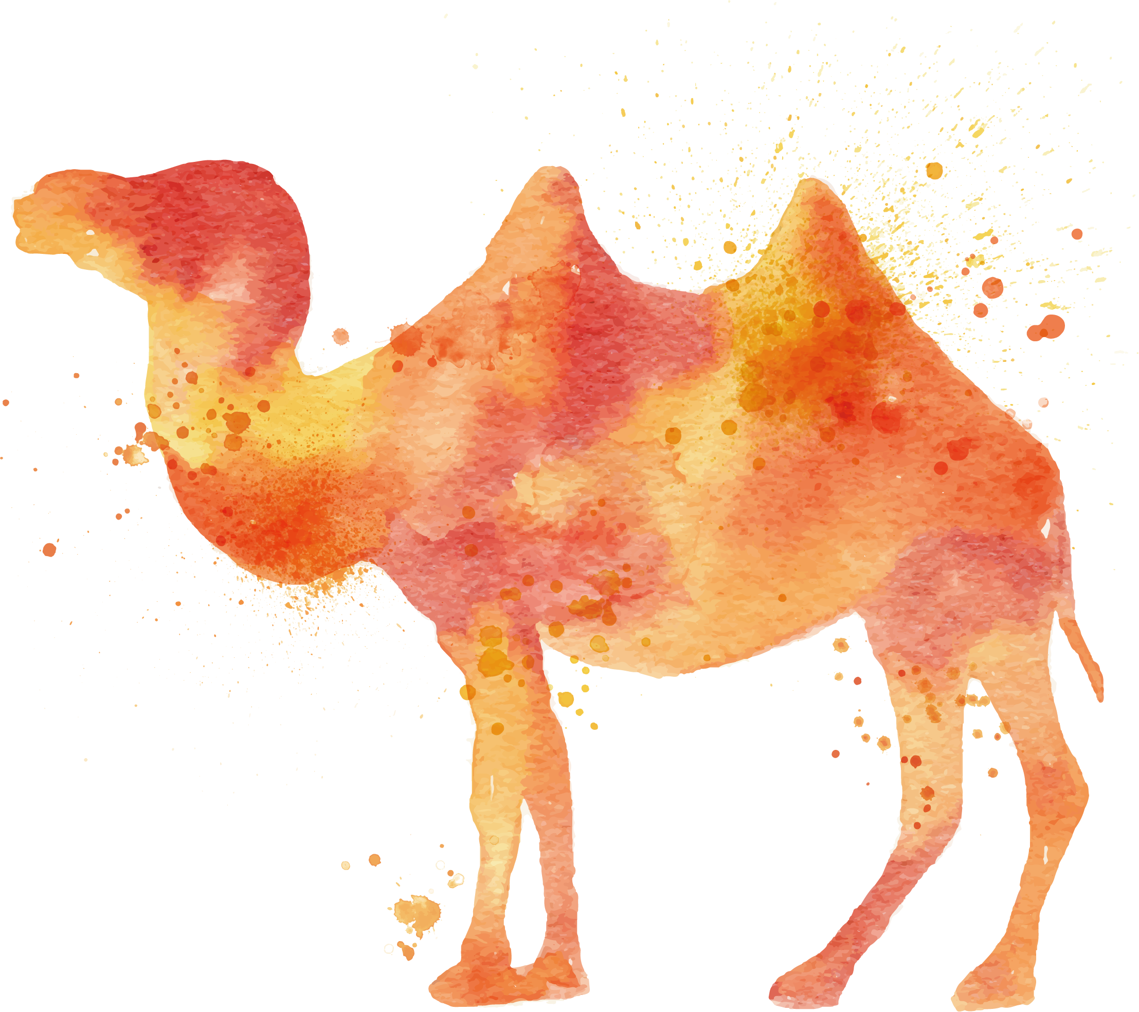 Camel Watercolor Painting Illustration - Watercolor Painting (2215x1969)