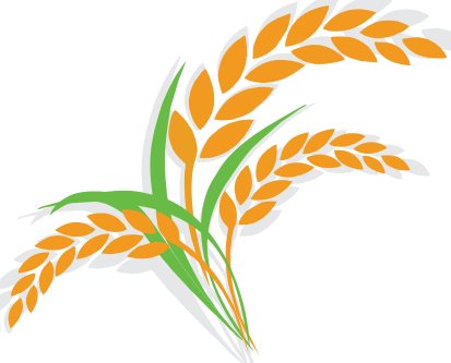 Not Only A Source Of Low Gi Carbs & Fibre, Oats Are - Rice Vector (413x333)