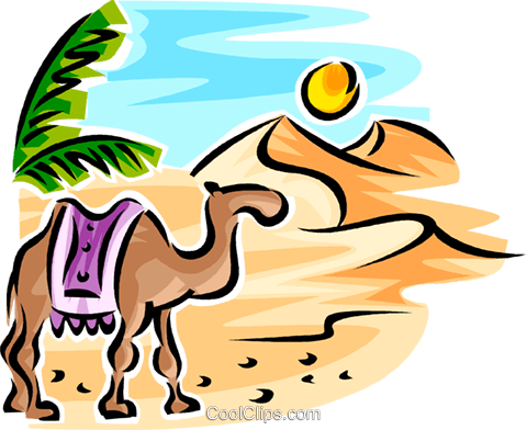 Camel Royalty Free Vector Clip Art Illustration - Camels In The Desert Clipart (480x392)