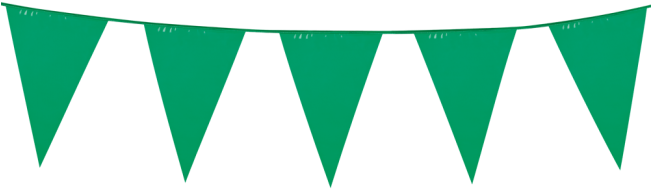Bunting Pe 10m - Green Bunting Png (650x650)