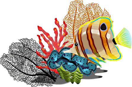 Image Of School Of Fish Clipart - Free Tropical Fish Clip Art (446x293)