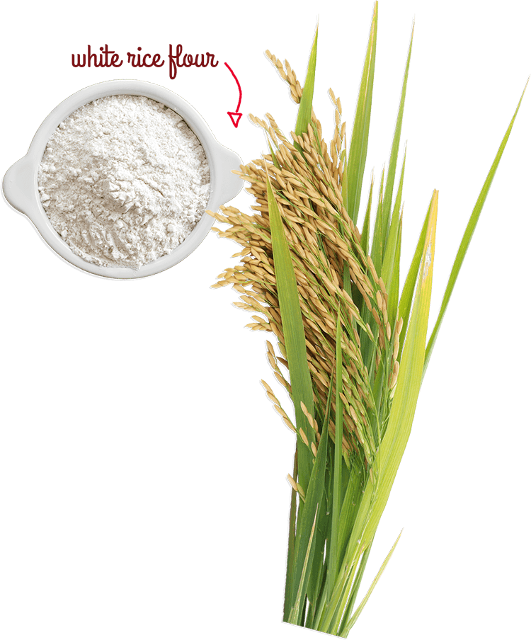 A Naturally Gluten-free Grain - Rice Flour Grain Grass (750x904)