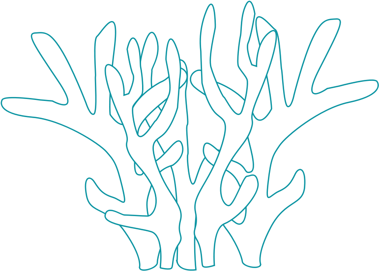 Clip Art Tags - Coral (800x597)