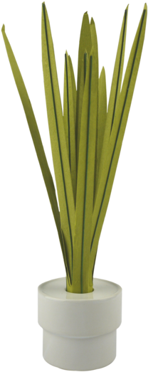 Rice Field Diffuser, Musk - Grass (600x600)