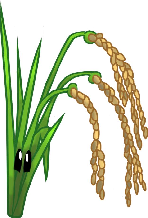 Rice - Plants Vs. Zombies (625x918)