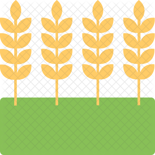 Wheat Farming Icon - Wheat (512x512)
