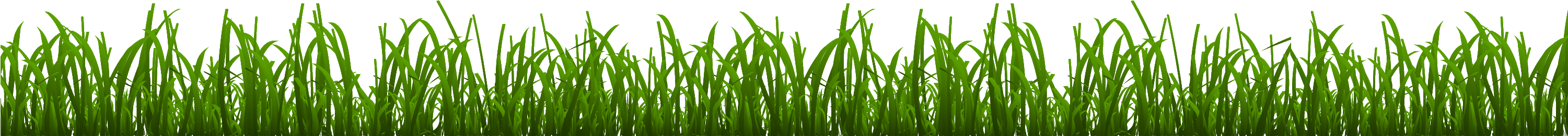 28 Collection Of Grass Drawing Png - Grass (3000x454)