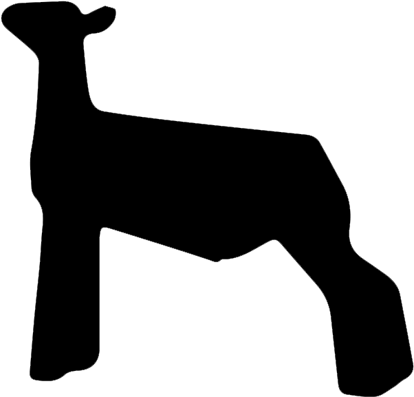 Lamb Clipart Club Lamb - Club Lamb Clipart (650x600)