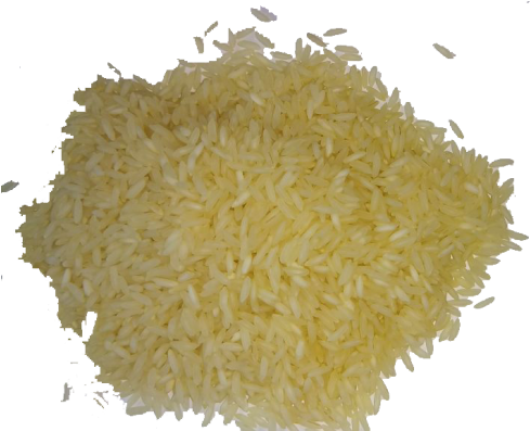 Sonamasuri Rice Ndl 100kg Rs - Sona Masuri (500x500)