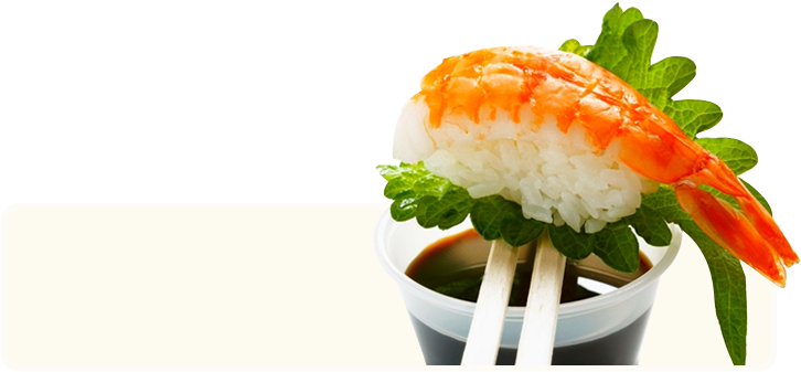 Bg Menu Page Header - Schmidt Zeevis Rotterdam B.v. (737x340)