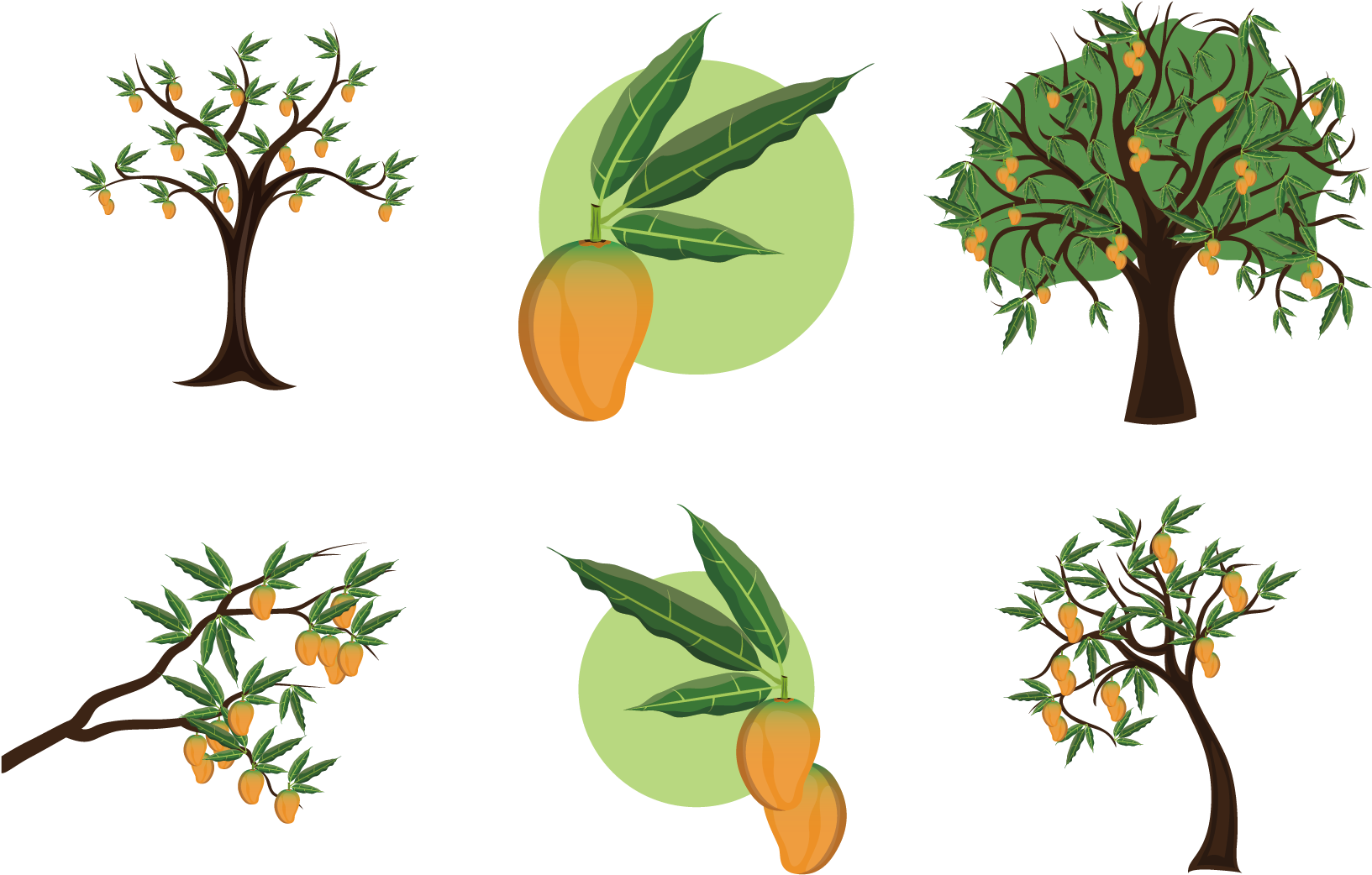 Mangifera Indica Mango Tree Clip Art - Mango Tree Illustration (1667x1667)