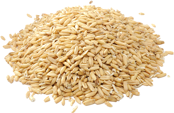 57285e5c22578 - Sattvic Foods Gluten Free Hulled Groats Oat, 500g (600x600)