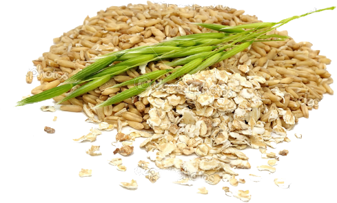 Oats Transparent Background Png - La Crusca D'avena (489x295)