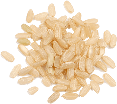 Organic Sprouted Rice - Olivenation Sprouted Brown Rice 5 Lb Gaba (500x500)