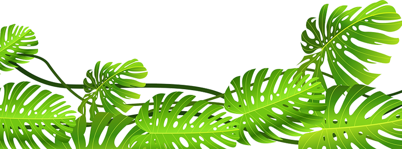 Rainforest Bg Bot - Fashion Craft Glass Flamingo Picture Frame (796x296)