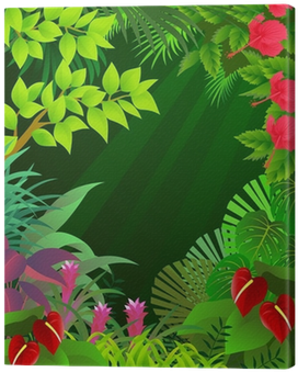 Illustration Of Tropical Forest Background Canvas Print - Jasper, Amazon Parrot: A Rainforest Adventure (400x400)