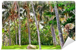 Tropical Palm Garden In Beautiful Paradise Wall Mural - Woodland (400x400)