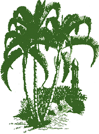 Malindi Tropical Nursery Logo - Logo For Plant Nursery (321x435)