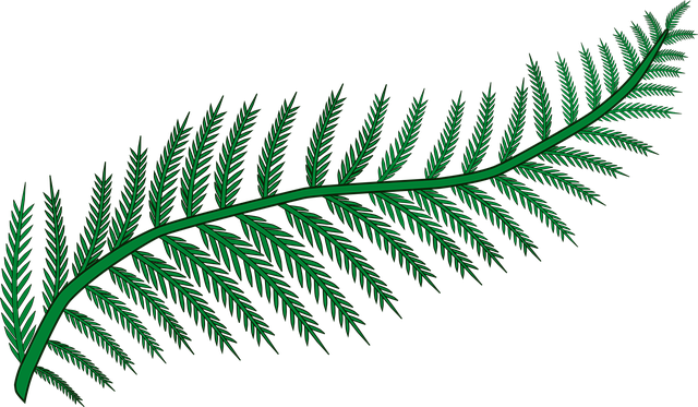 Branch, Fern, Forest, Frond, Plant, Wood, Woodland - Fern Clipart (640x373)