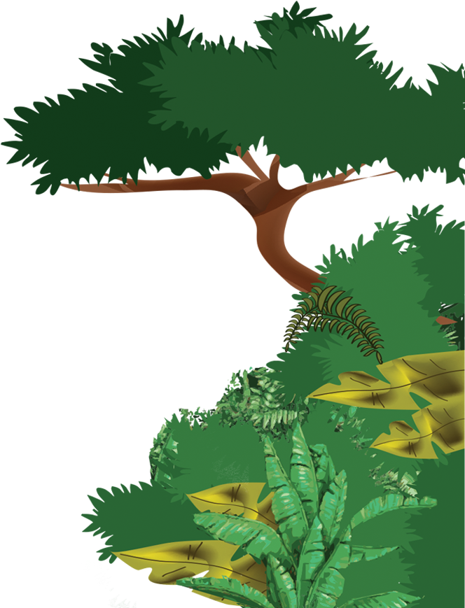 Rainforest Clipart Big Plant - Selva Dibujo Png (690x877)