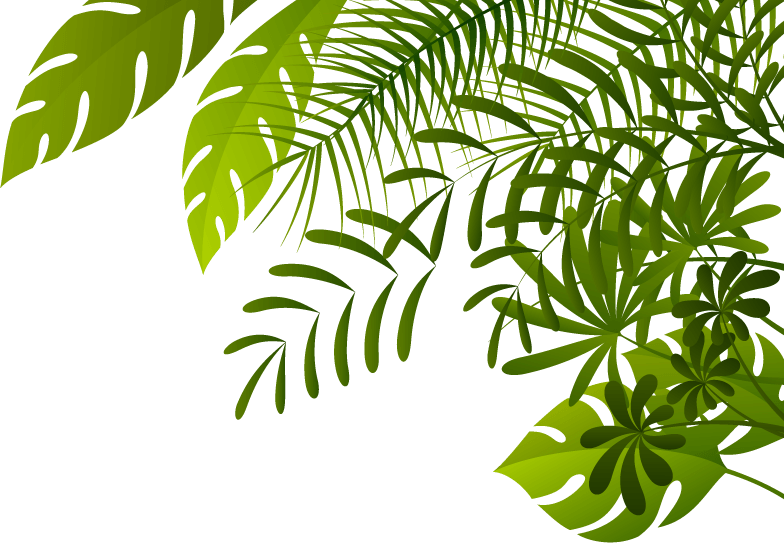 Jungle Png Image - Jungle Png (784x543)