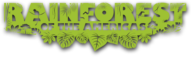650x194, The Dense Forest - Rainforest Of The Americas (650x194)