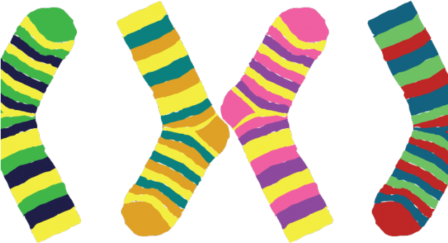 Socks Clipart Crazy Socks Day - World Down Syndrome Day Socks (640x480)