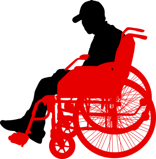 Disabled People - Disabled People Silhouette (538x550)