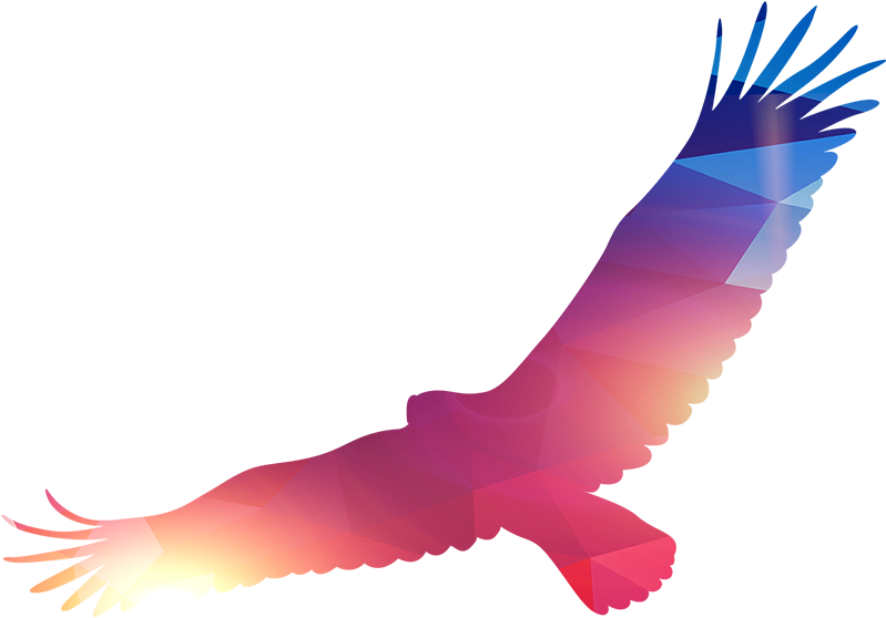 Business - Eagle Png (800x607)