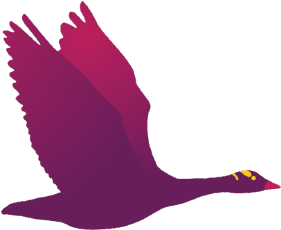 Codingconcepts - Duck (460x460)