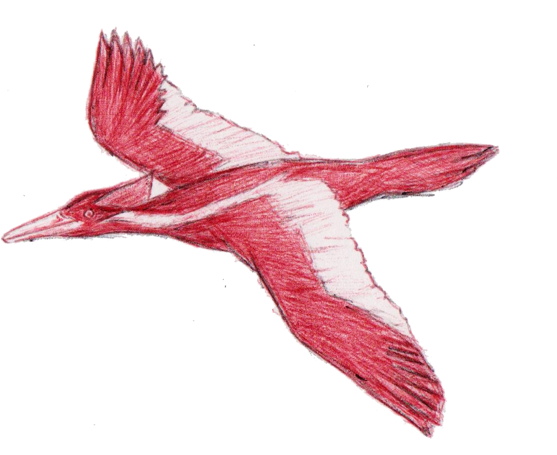 After Composing My Individual Pieces I Saved Them As - Woodpecker (1191x927)