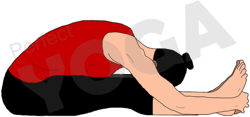 Paschimottanasana Or The Seated Forward Bend Posture - Yoga (900x900)