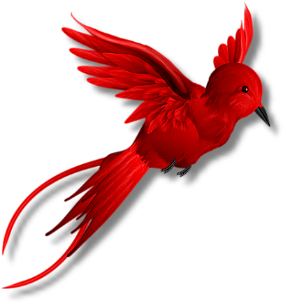 Png Kuş Resimleri, Kanatlı Hayvan Resimleri Yükle - Png Kuş (502x527)