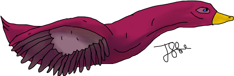 Magenta Night Male - Illustration (800x500)