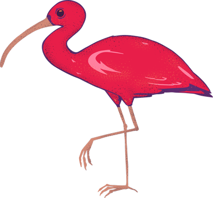 Menu - - Ibis (420x391)